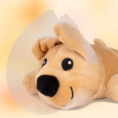 Zestaw Mały Weterynarz - Pluszowy Piesek z Budą i Akcesoriami Lekarskimi