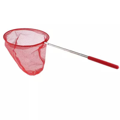 Siatka teleskopowa na motyle rybki owady podbierak dla dzieci N040CZ