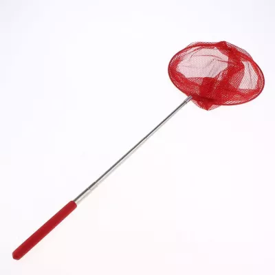 Siatka teleskopowa na motyle rybki owady podbierak dla dzieci N040CZ